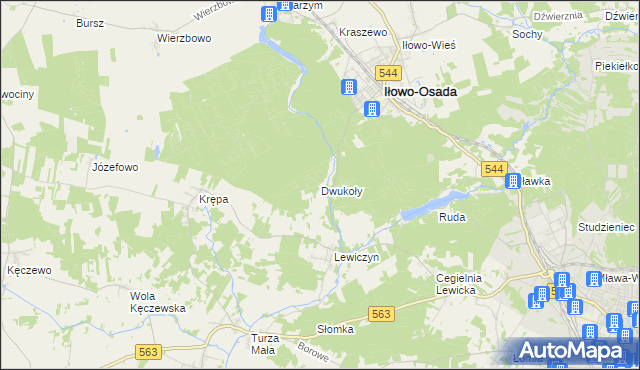 mapa Dwukoły, Dwukoły na mapie Targeo