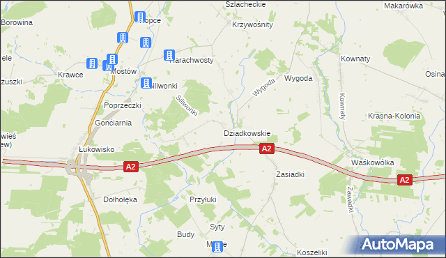 mapa Dziadkowskie, Dziadkowskie na mapie Targeo