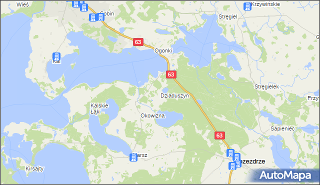 mapa Dziaduszyn, Dziaduszyn na mapie Targeo