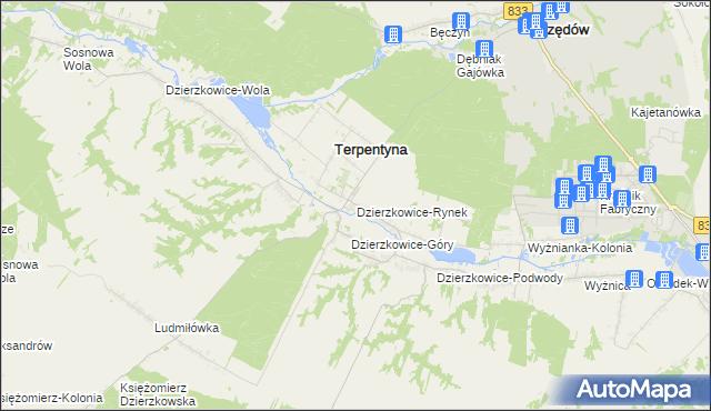 mapa Dzierzkowice-Rynek, Dzierzkowice-Rynek na mapie Targeo