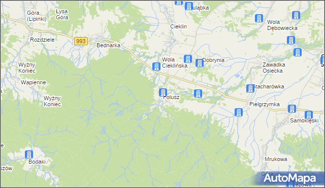 mapa Folusz gmina Dębowiec, Folusz gmina Dębowiec na mapie Targeo