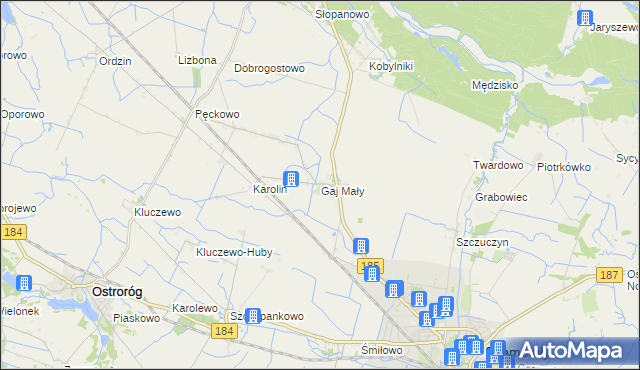 mapa Gaj Mały gmina Obrzycko, Gaj Mały gmina Obrzycko na mapie Targeo