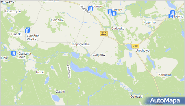 mapa Gałęzów gmina Dębnica Kaszubska, Gałęzów gmina Dębnica Kaszubska na mapie Targeo