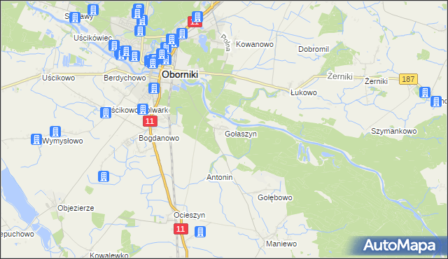 mapa Gołaszyn gmina Oborniki, Gołaszyn gmina Oborniki na mapie Targeo