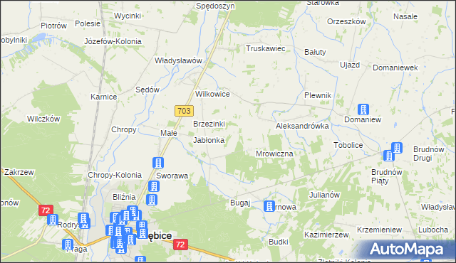 mapa Golice gmina Poddębice, Golice gmina Poddębice na mapie Targeo