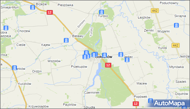 mapa Gołuchów powiat pleszewski, Gołuchów powiat pleszewski na mapie Targeo