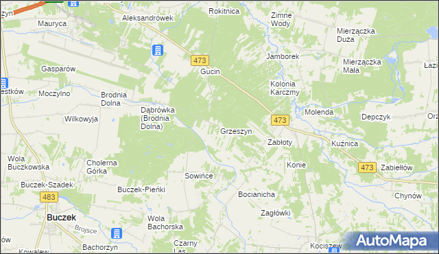 mapa Grzeszyn gmina Buczek, Grzeszyn gmina Buczek na mapie Targeo