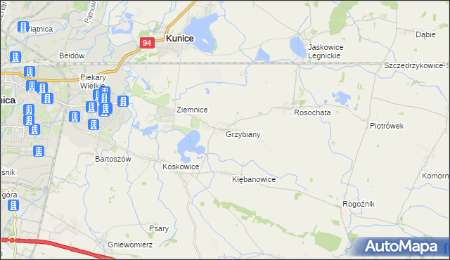 mapa Grzybiany, Grzybiany na mapie Targeo