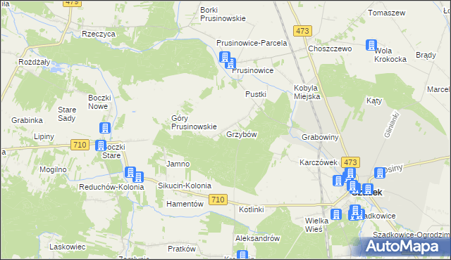 mapa Grzybów gmina Szadek, Grzybów gmina Szadek na mapie Targeo