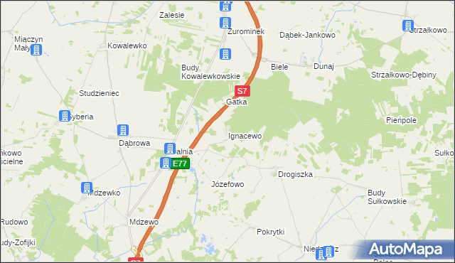 mapa Ignacewo gmina Strzegowo, Ignacewo gmina Strzegowo na mapie Targeo