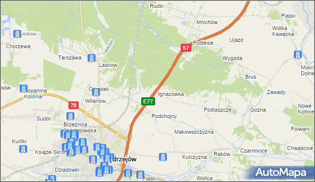 mapa Ignacówka gmina Jędrzejów, Ignacówka gmina Jędrzejów na mapie Targeo