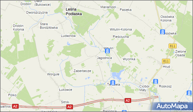 mapa Jagodnica gmina Leśna Podlaska, Jagodnica gmina Leśna Podlaska na mapie Targeo