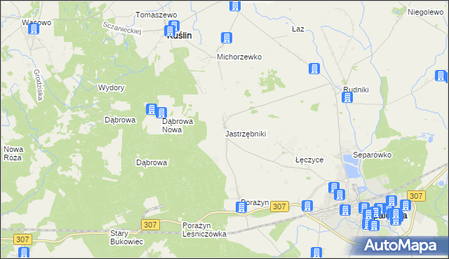 mapa Jastrzębniki gmina Opalenica, Jastrzębniki gmina Opalenica na mapie Targeo