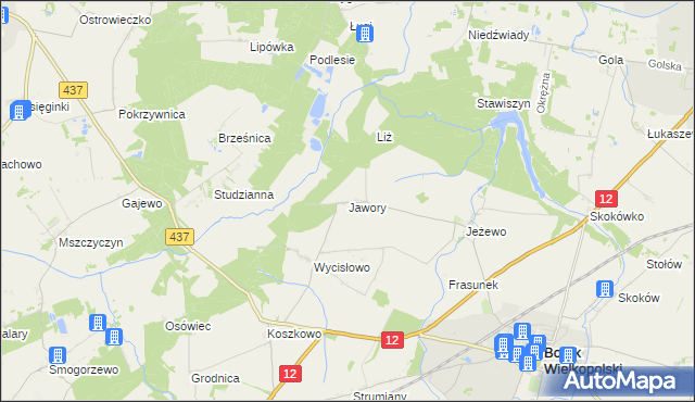 mapa Jawory gmina Borek Wielkopolski, Jawory gmina Borek Wielkopolski na mapie Targeo