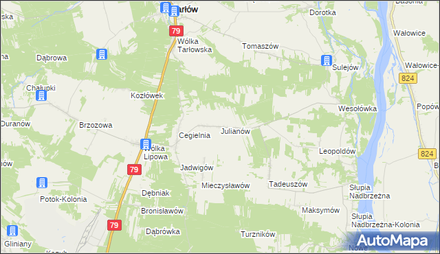 mapa Julianów gmina Tarłów, Julianów gmina Tarłów na mapie Targeo