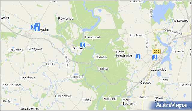 mapa Kaliska gmina Drzycim, Kaliska gmina Drzycim na mapie Targeo