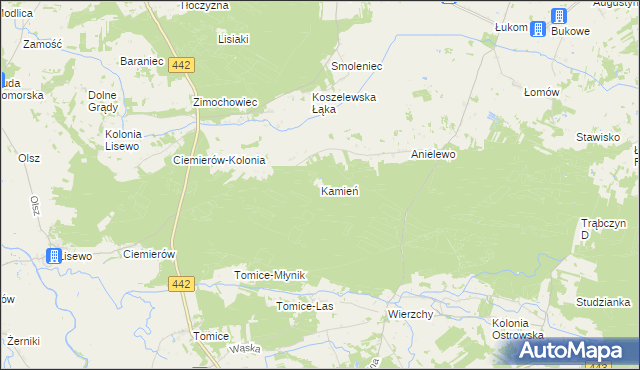 mapa Kamień gmina Pyzdry, Kamień gmina Pyzdry na mapie Targeo