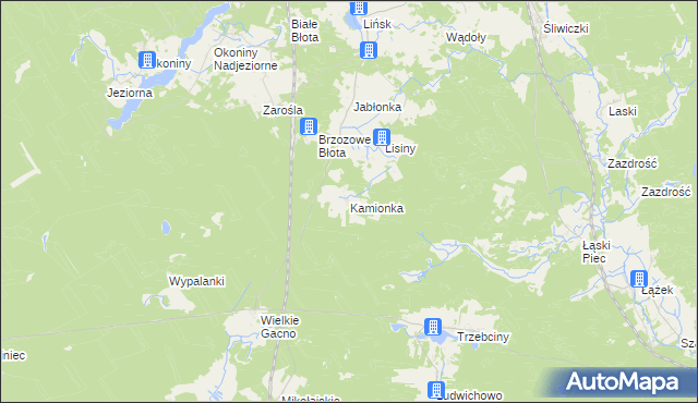 mapa Kamionka gmina Śliwice, Kamionka gmina Śliwice na mapie Targeo