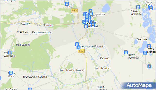 mapa Kolechowice-Folwark, Kolechowice-Folwark na mapie Targeo