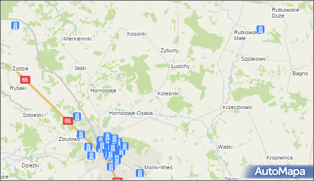 mapa Koleśniki gmina Mońki, Koleśniki gmina Mońki na mapie Targeo