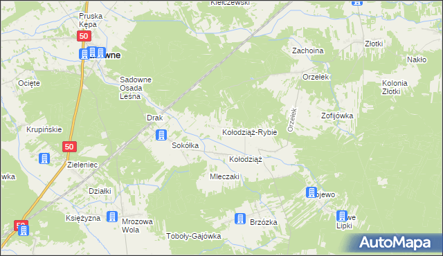 mapa Kołodziąż-Rybie, Kołodziąż-Rybie na mapie Targeo