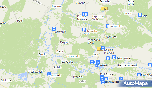 mapa Kolonia Bobrowska Wola, Kolonia Bobrowska Wola na mapie Targeo