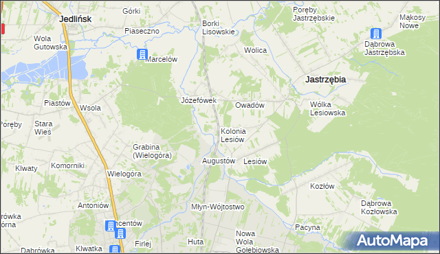 mapa Kolonia Lesiów, Kolonia Lesiów na mapie Targeo