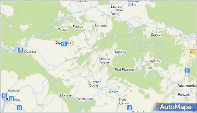 mapa Kolonia Polska, Kolonia Polska na mapie Targeo