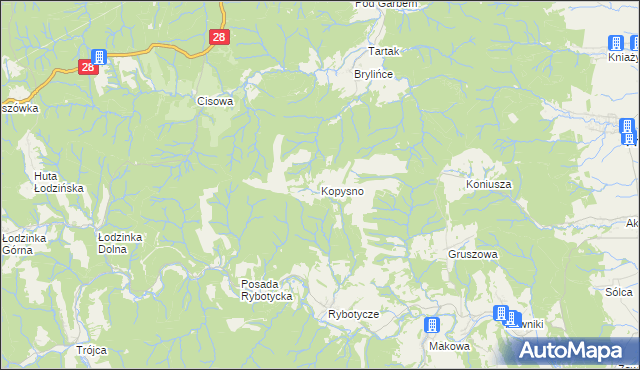 mapa Kopysno, Kopysno na mapie Targeo