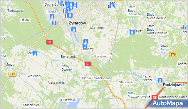 mapa Korytów gmina Radziejowice, Korytów gmina Radziejowice na mapie Targeo