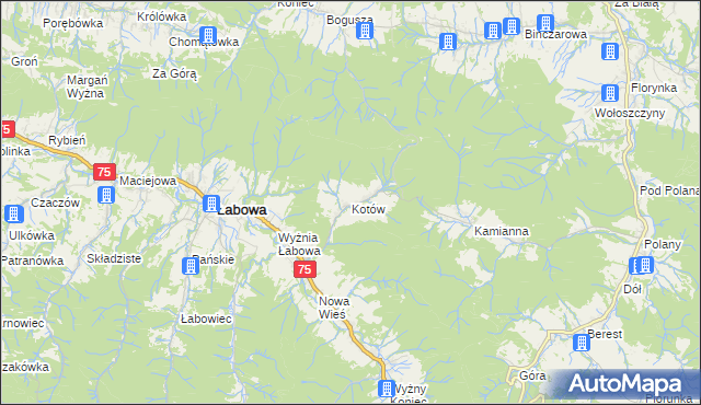 mapa Kotów gmina Łabowa, Kotów gmina Łabowa na mapie Targeo