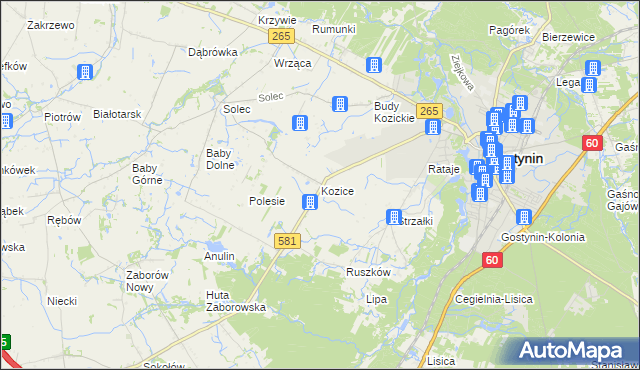 mapa Kozice gmina Gostynin, Kozice gmina Gostynin na mapie Targeo