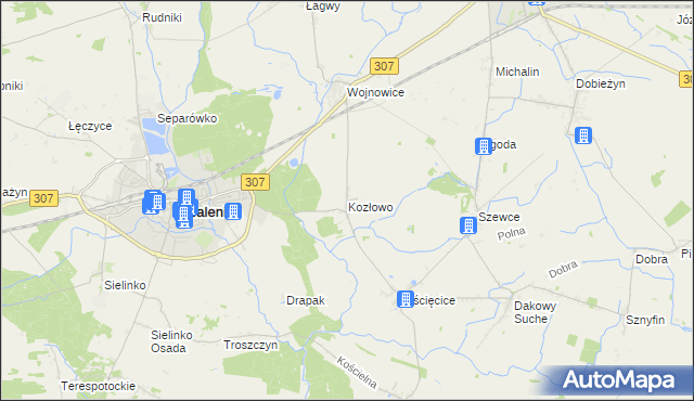 mapa Kozłowo gmina Opalenica, Kozłowo gmina Opalenica na mapie Targeo