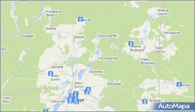 mapa Krzywogoniec, Krzywogoniec na mapie Targeo