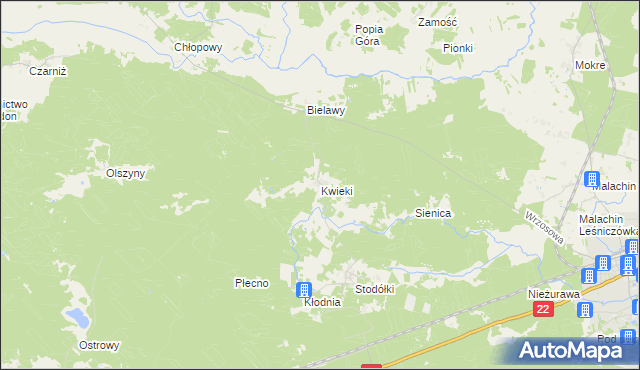 mapa Kwieki, Kwieki na mapie Targeo