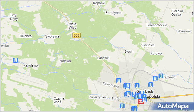 mapa Lasówki gmina Grodzisk Wielkopolski, Lasówki gmina Grodzisk Wielkopolski na mapie Targeo