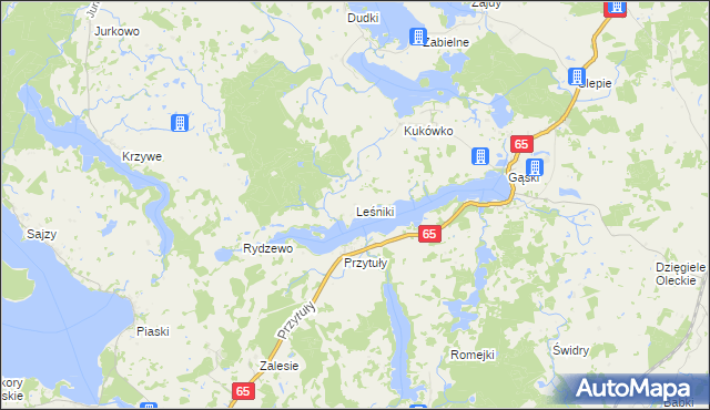 mapa Leśniki gmina Świętajno, Leśniki gmina Świętajno na mapie Targeo