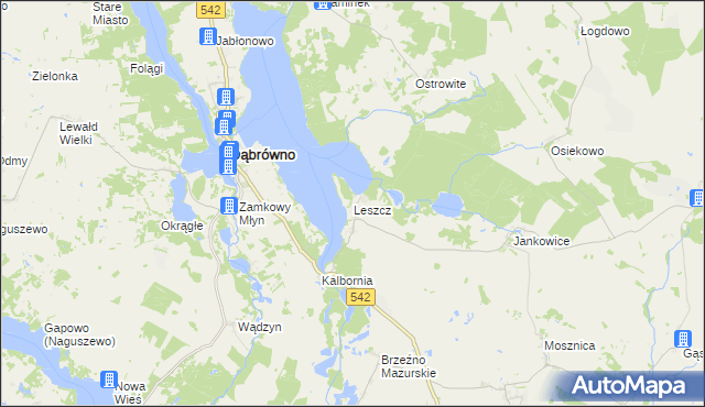 mapa Leszcz gmina Dąbrówno, Leszcz gmina Dąbrówno na mapie Targeo
