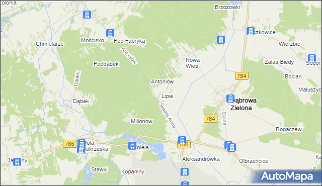 mapa Lipie gmina Dąbrowa Zielona, Lipie gmina Dąbrowa Zielona na mapie Targeo
