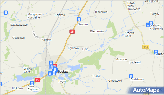mapa Lipie gmina Miłosław, Lipie gmina Miłosław na mapie Targeo