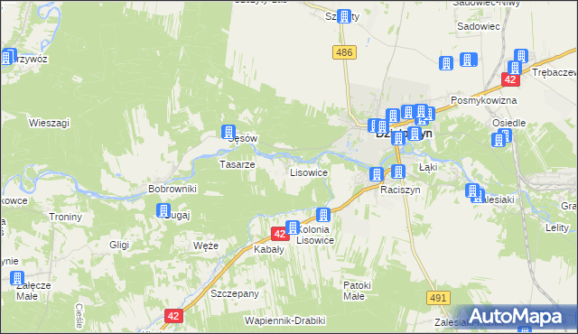 mapa Lisowice gmina Działoszyn, Lisowice gmina Działoszyn na mapie Targeo