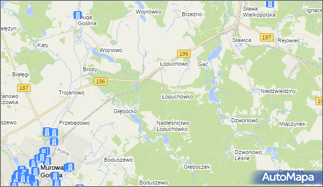 mapa Łopuchówko, Łopuchówko na mapie Targeo