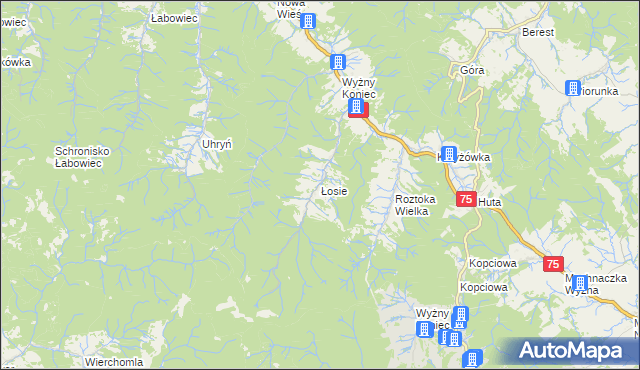 mapa Łosie gmina Łabowa, Łosie gmina Łabowa na mapie Targeo