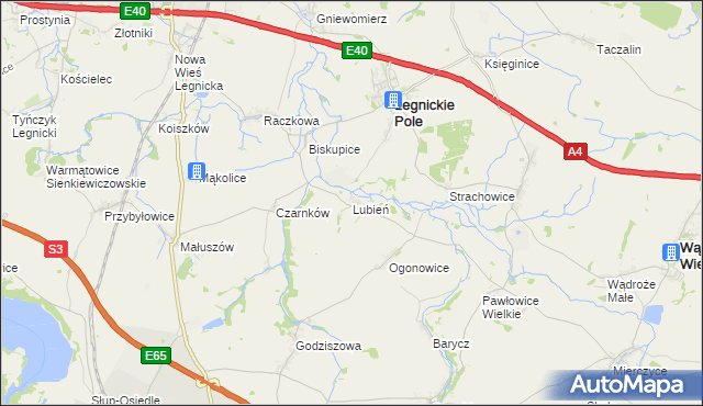 mapa Lubień gmina Legnickie Pole, Lubień gmina Legnickie Pole na mapie Targeo