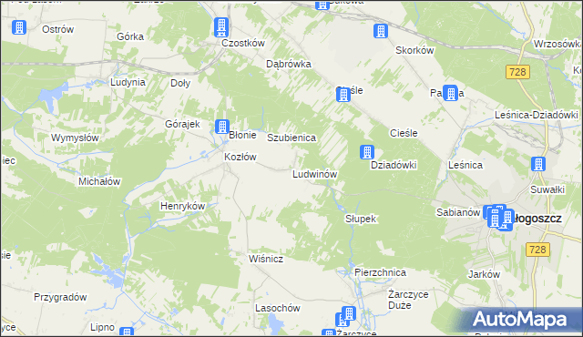 mapa Ludwinów gmina Małogoszcz, Ludwinów gmina Małogoszcz na mapie Targeo