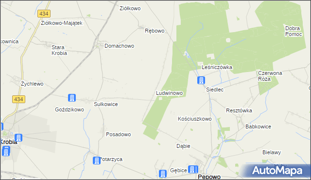 mapa Ludwinowo gmina Pępowo, Ludwinowo gmina Pępowo na mapie Targeo