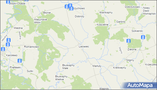 mapa Lwowiec, Lwowiec na mapie Targeo