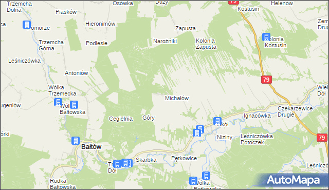 mapa Michałów gmina Bałtów, Michałów gmina Bałtów na mapie Targeo