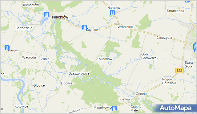 mapa Miechów gmina Niechlów, Miechów gmina Niechlów na mapie Targeo