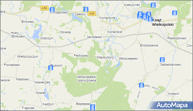 mapa Międzybórz gmina Książ Wielkopolski, Międzybórz gmina Książ Wielkopolski na mapie Targeo